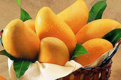 孕期知識：孕媽能不能吃芒果？那要看自己體質(zhì)適不適合，別隨便吃