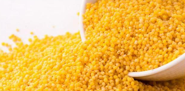 孕期知識：都說孕媽喝小米粥好，怎么好你可能真不知道