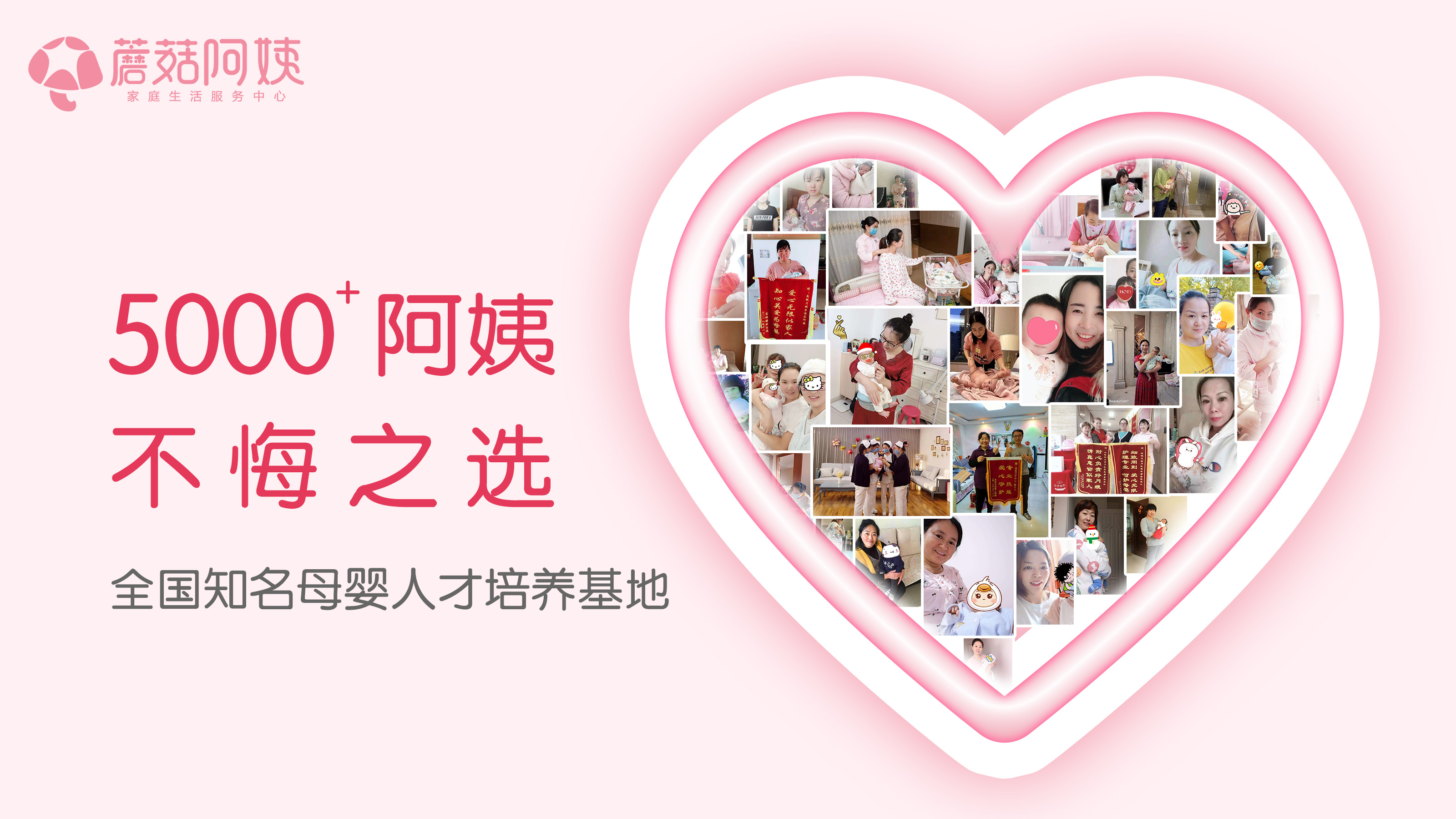 6222d41ae1b80.jpg 1.jpg